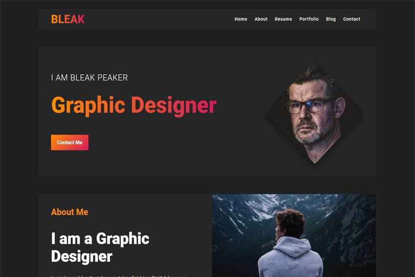 Bleak - professional Personal Online Portfolio Website Template