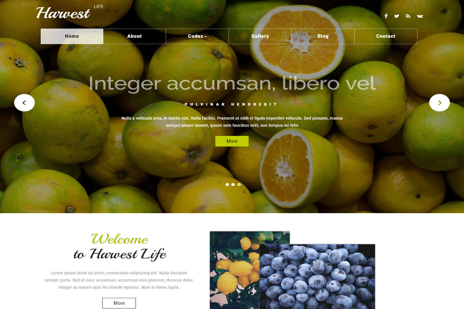 Harvest Life Bootstrap Responsive Website Template Free Download