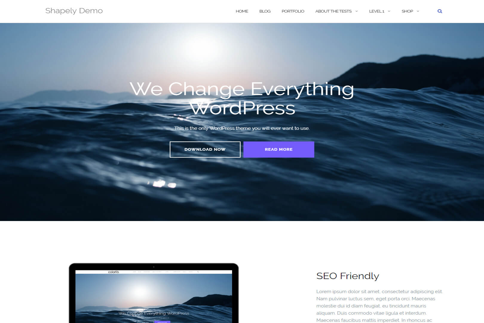 Shapely One Page WordPress Theme Free Download